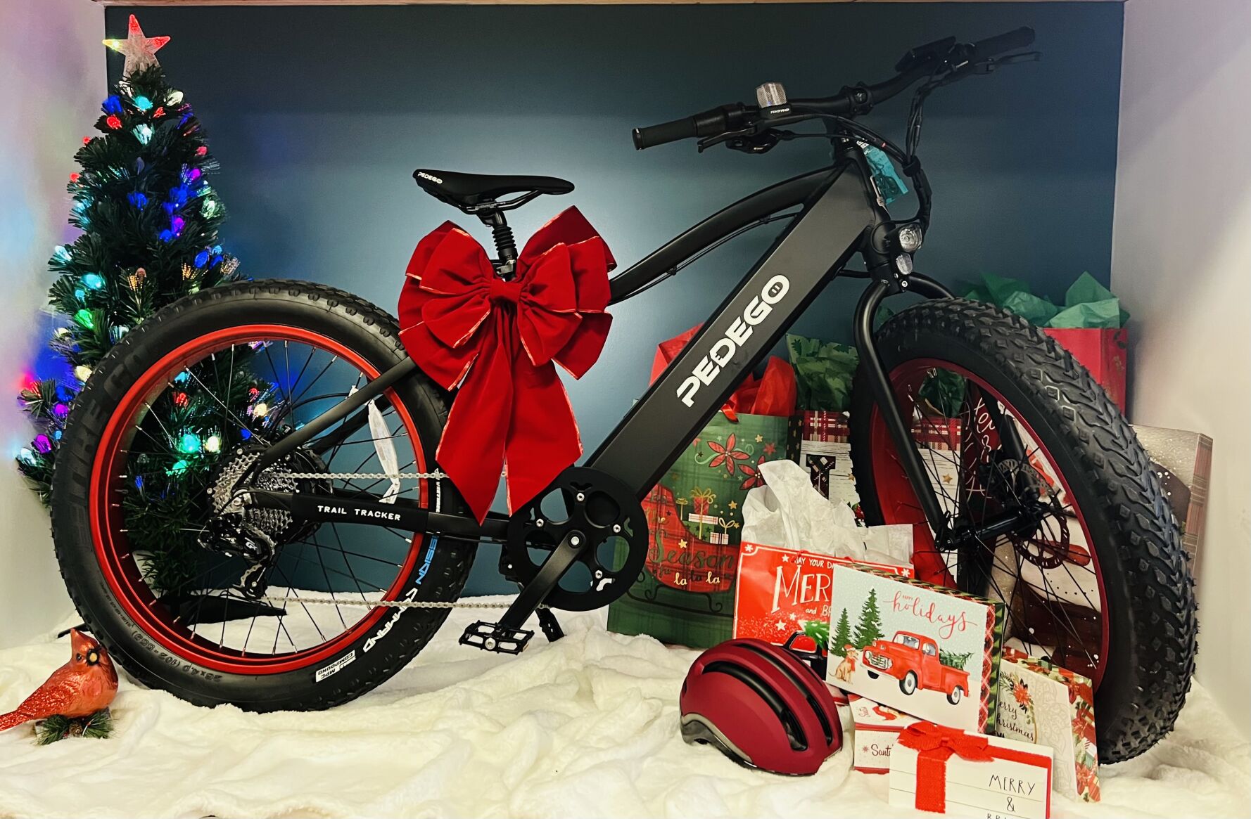 Pedego bike